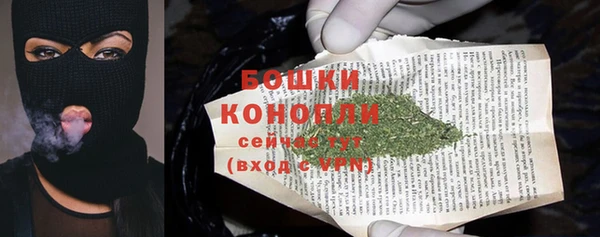 СК Вяземский