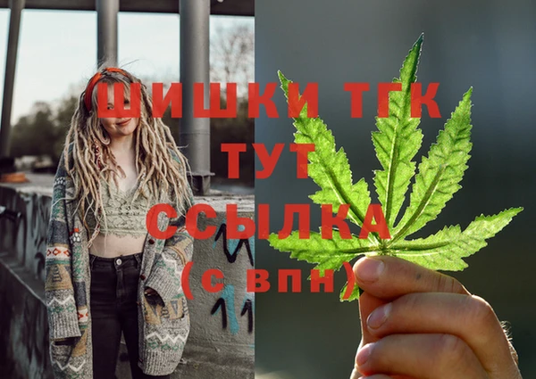СК Вяземский
