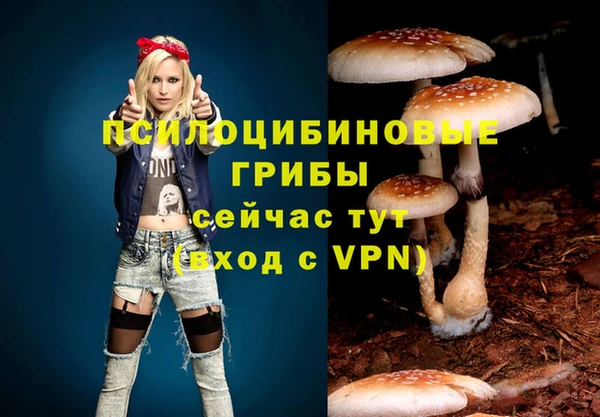 СК Вяземский